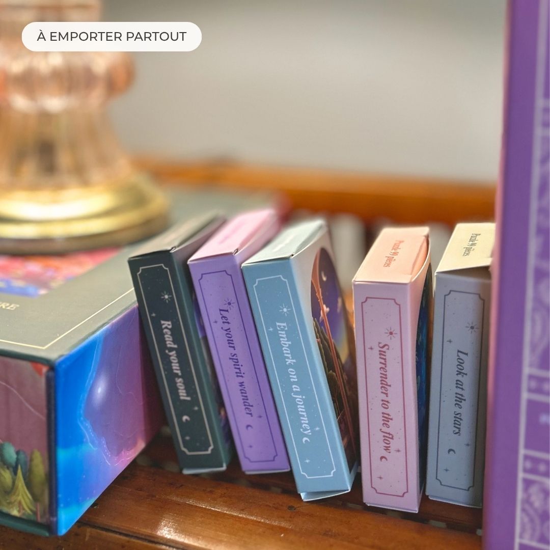 Lot 5 mini puzzles 99 pièces - The Whimsical Collection