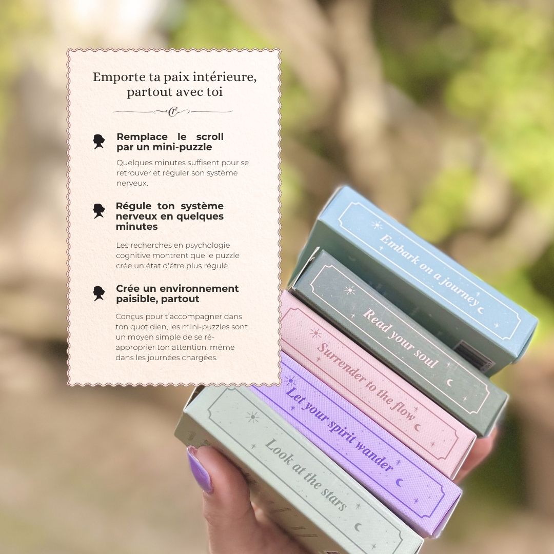 Lot 5 mini puzzles 99 pièces - The Whimsical Collection