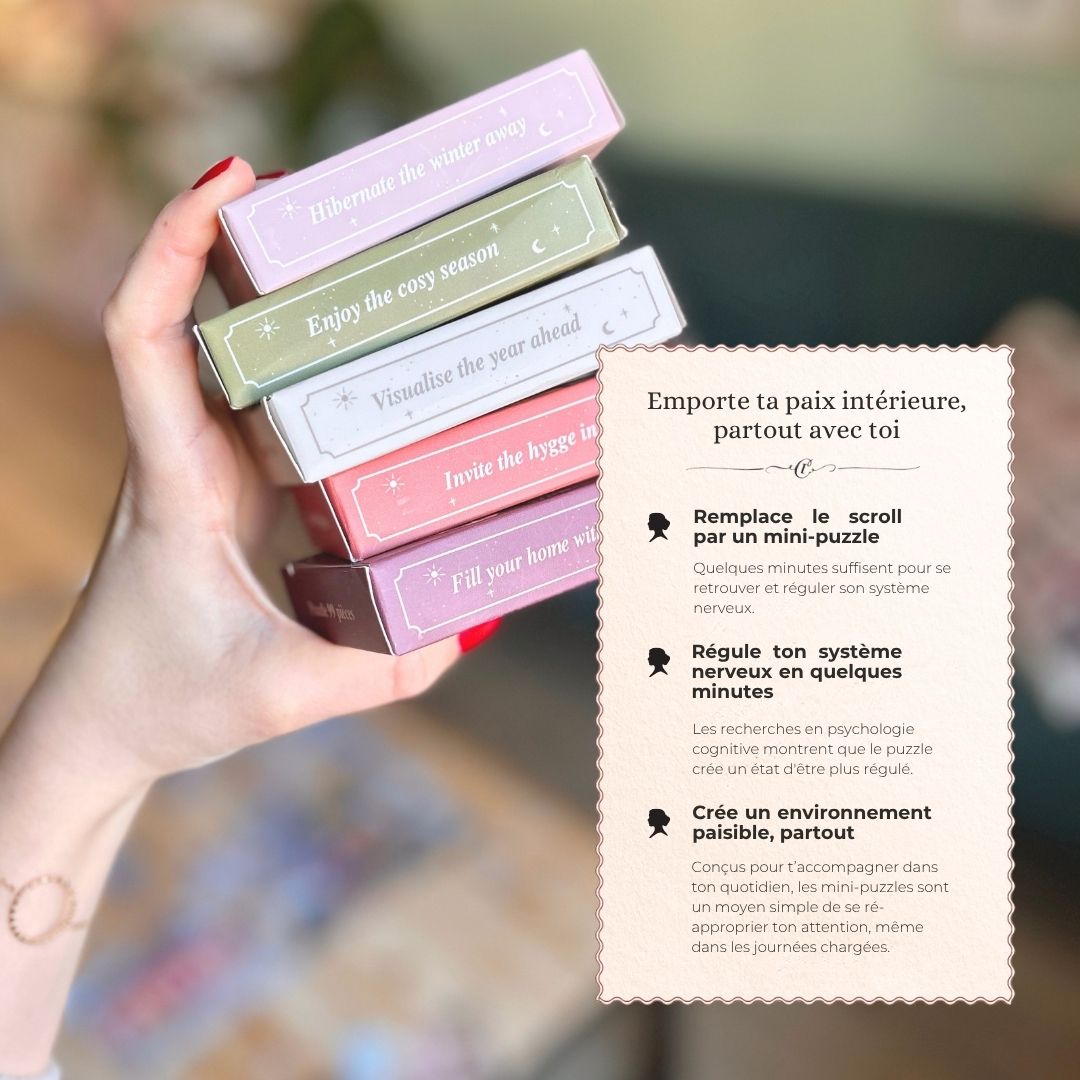 Lot 5 mini puzzles 99 pièces - The Holidays Season