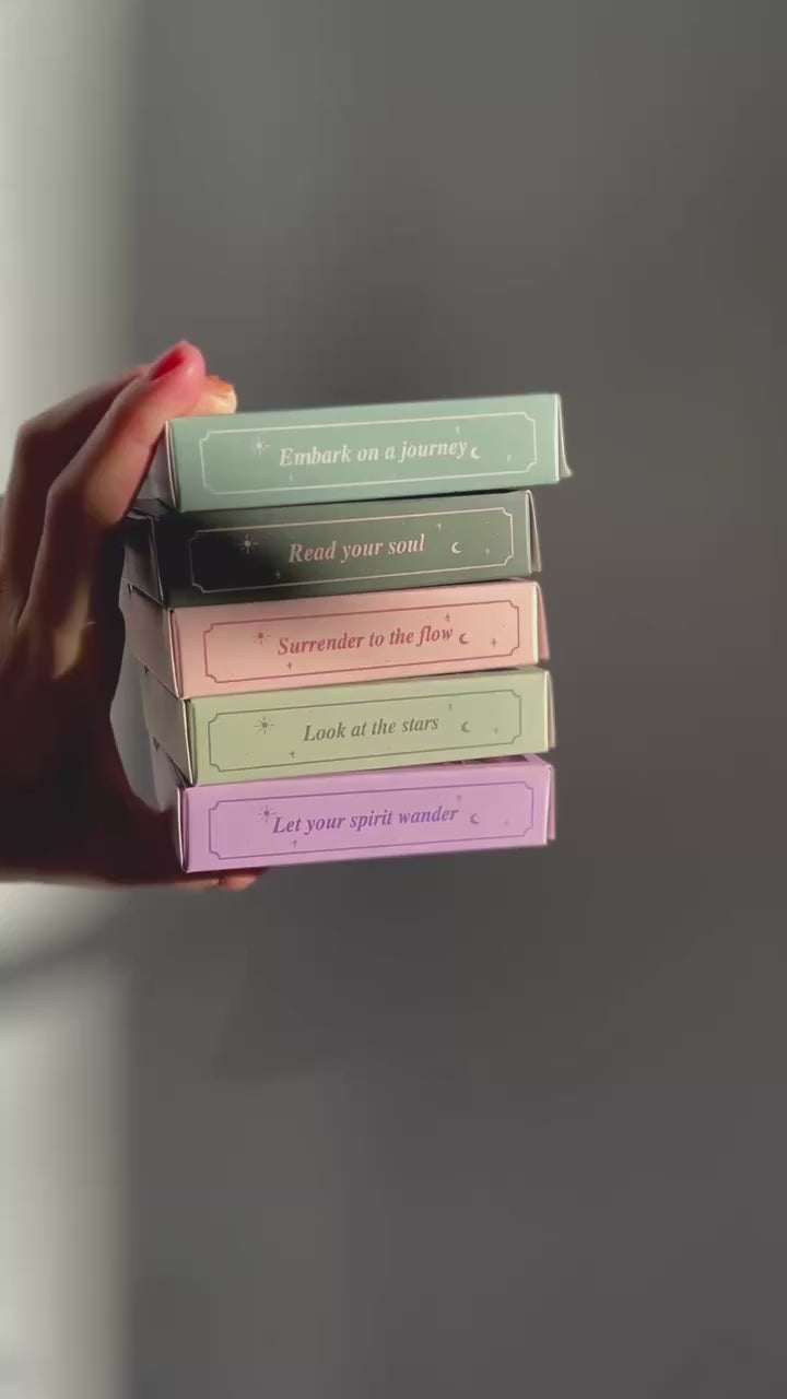 Lot 5 mini puzzles 99 pièces - The Whimsical Collection